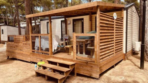 Camping 4 étoiles - Parc aquatique - ccafefi